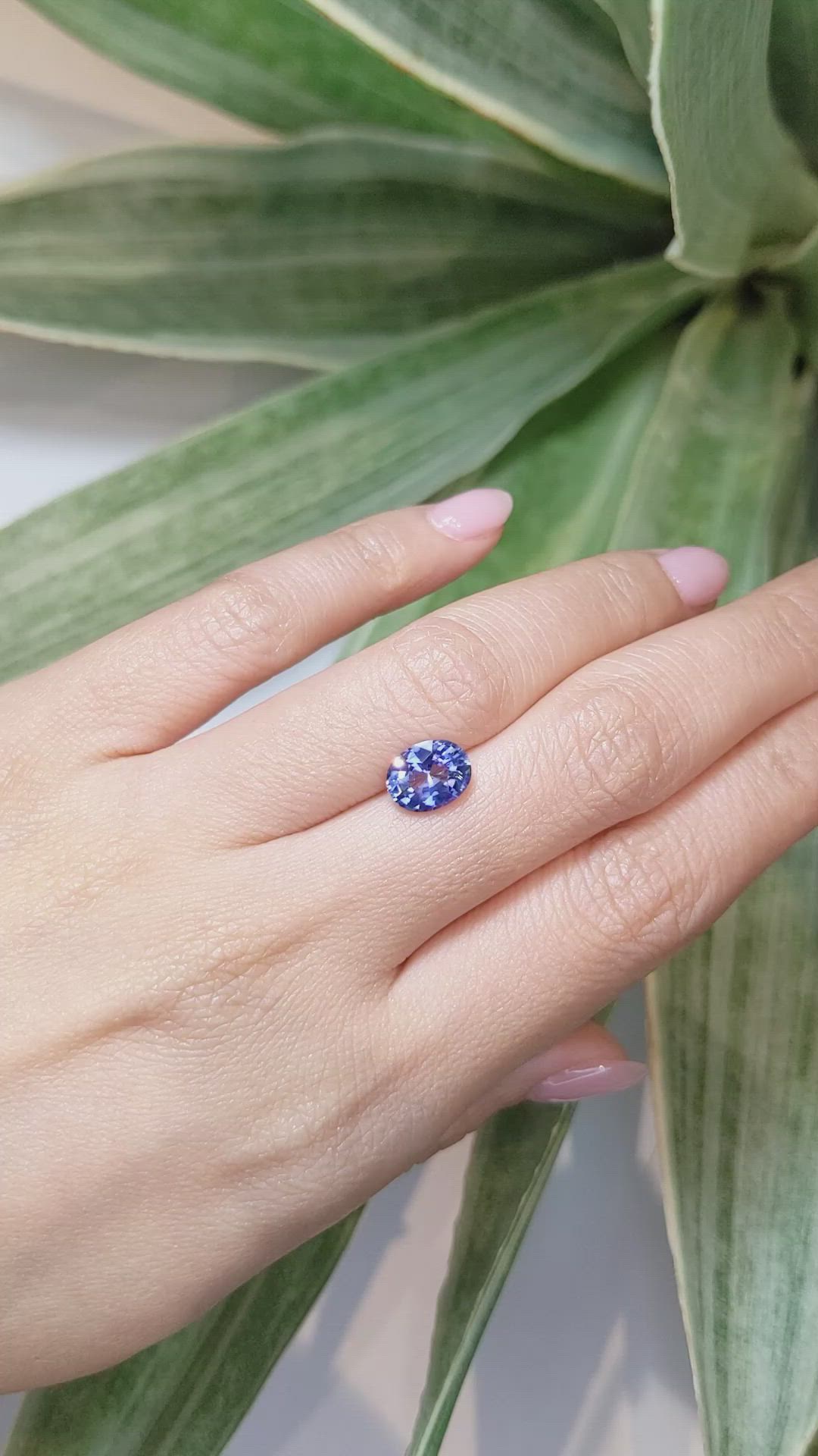 2.47 Ct. Blue Sapphire from Ceylon (Sri Lanka) Size Video
