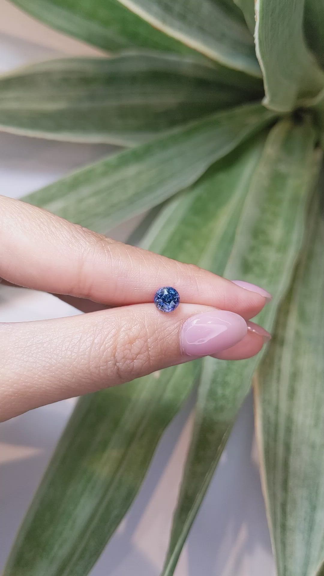 1.54 Ct. Blue Sapphire from Ceylon (Sri Lanka) Size Video