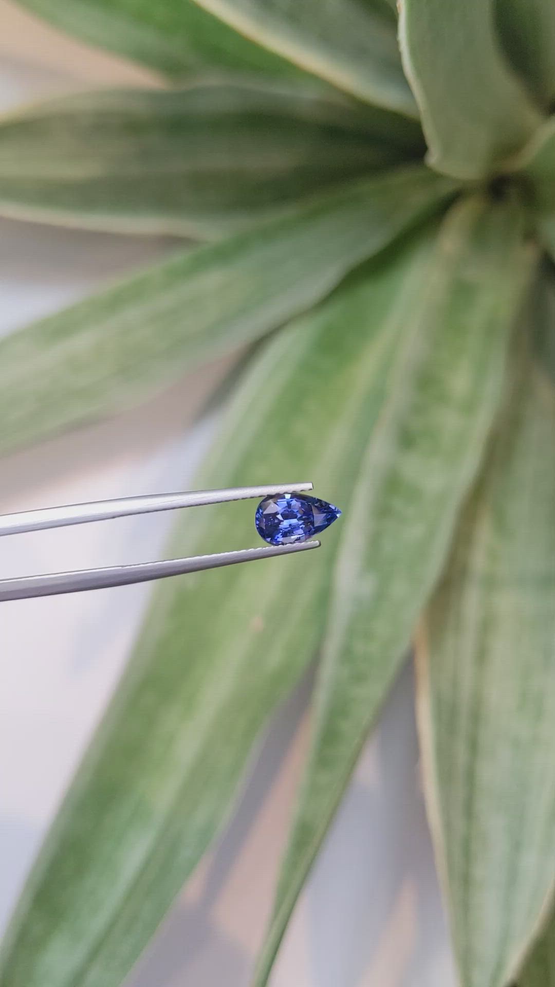 1.49 Ct. Blue Sapphire from Ceylon (Sri Lanka) Size Video