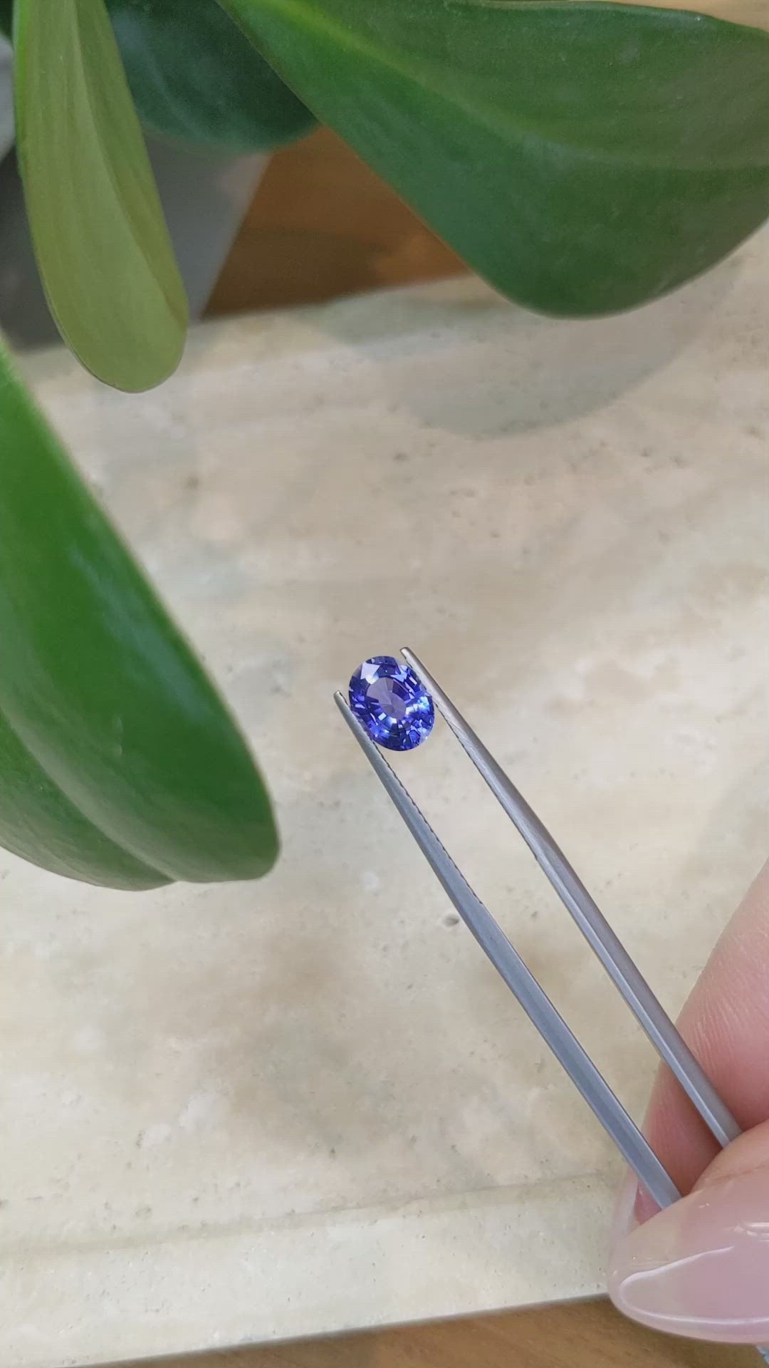1.64 Ct. Blue Sapphire from Ceylon (Sri Lanka) Size Video