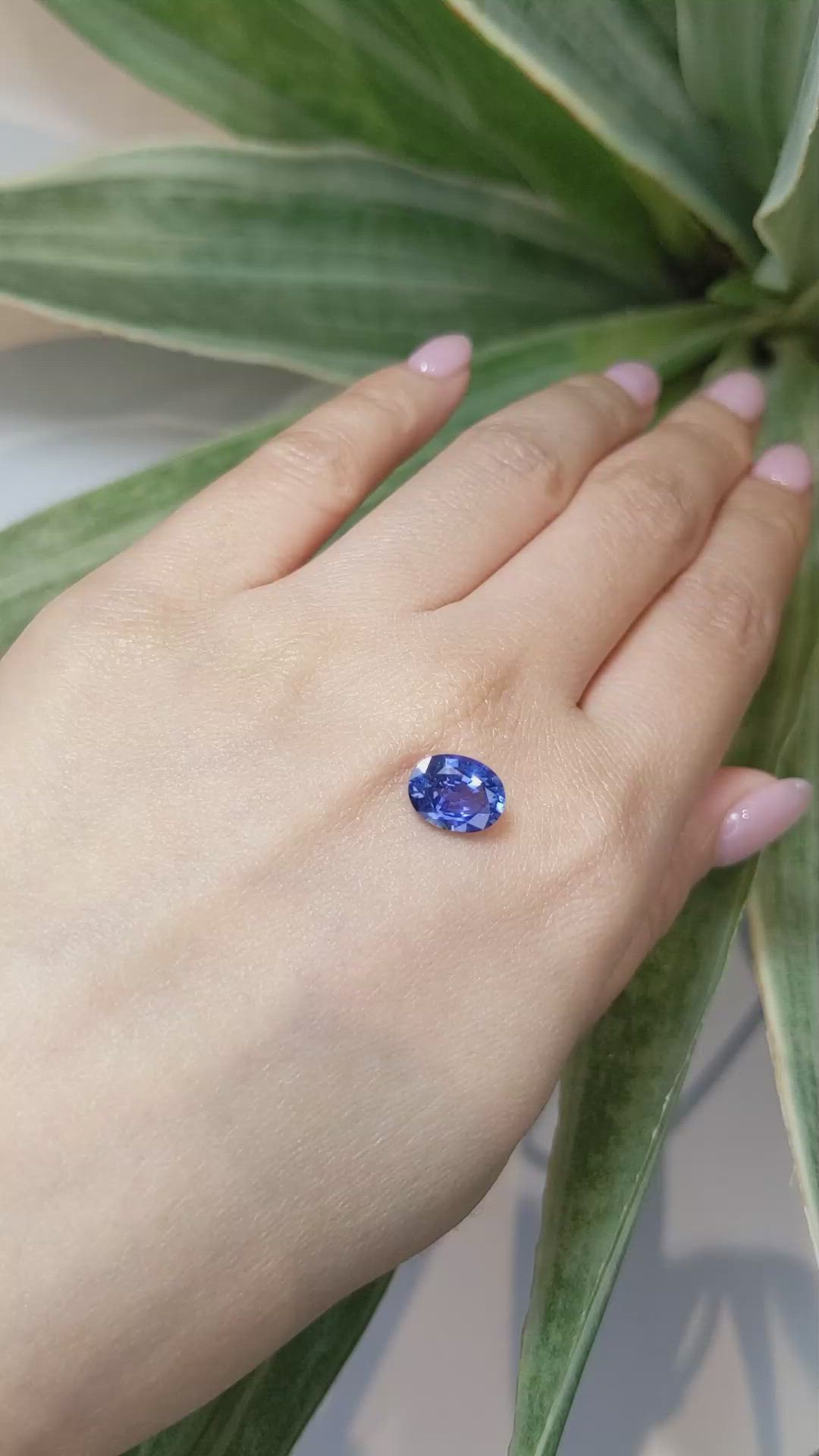 2.67 Ct. Blue Sapphire from Ceylon (Sri Lanka) Size Video