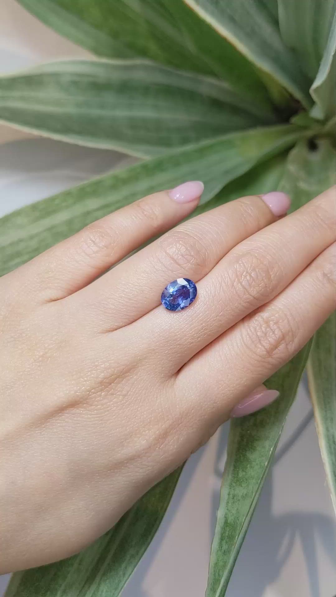 2.67 Ct. Blue Sapphire from Ceylon (Sri Lanka) Size Video