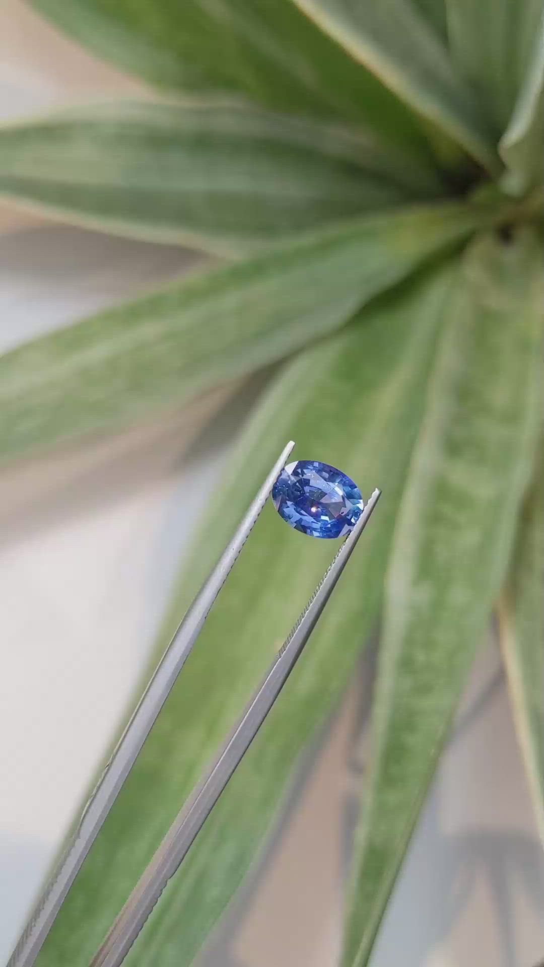 2.67 Ct. Blue Sapphire from Ceylon (Sri Lanka) Size Video