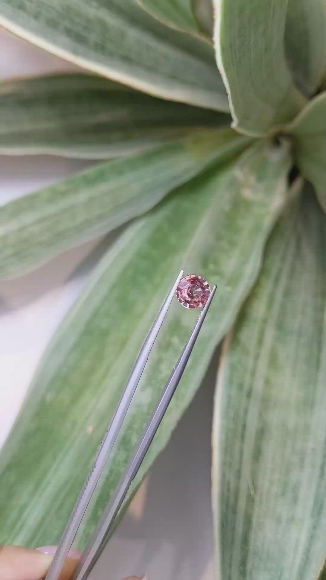 1.57 Ct. Padparadscha Sapphire from Ceylon (Sri Lanka) Size Video