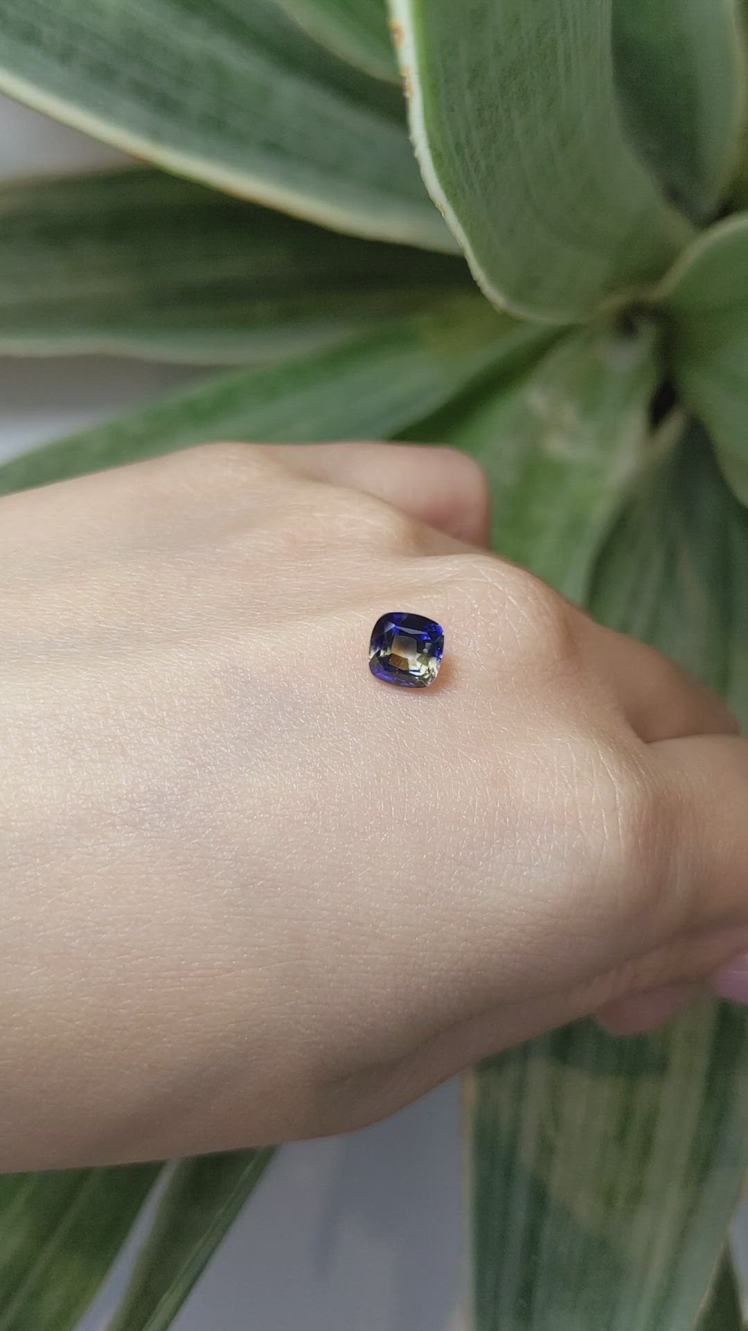 1.81 Ct. Sapphire from Ceylon (Sri Lanka) Size Video