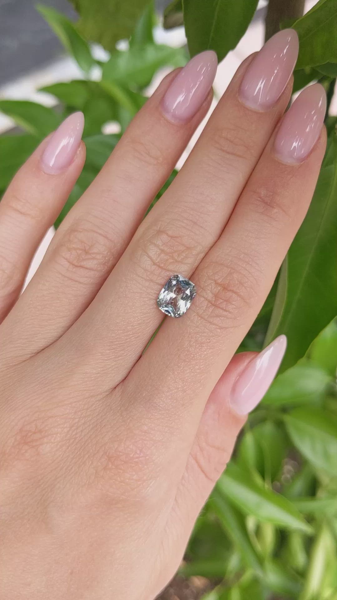 2.20 Ct. Bi Color Sapphire from Ceylon (Sri Lanka) Size Video