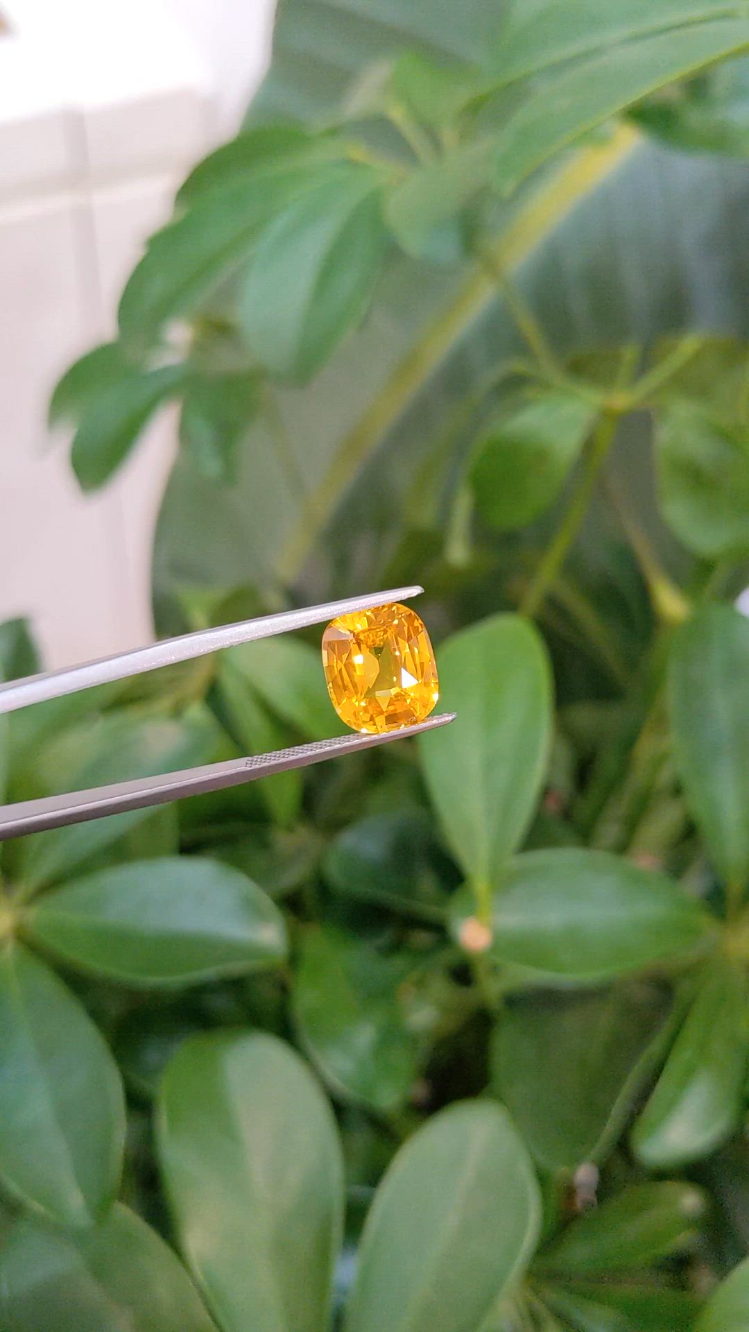 6.16 Ct. Yellow Sapphire from Ceylon (Sri Lanka) Size Video