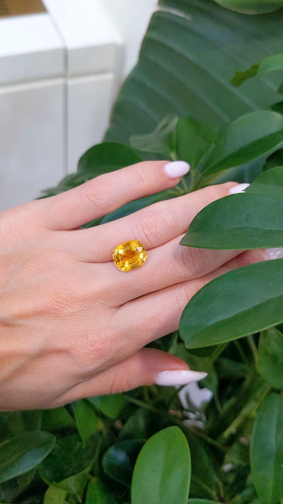 6.16 Ct. Yellow Sapphire from Ceylon (Sri Lanka) Size Video