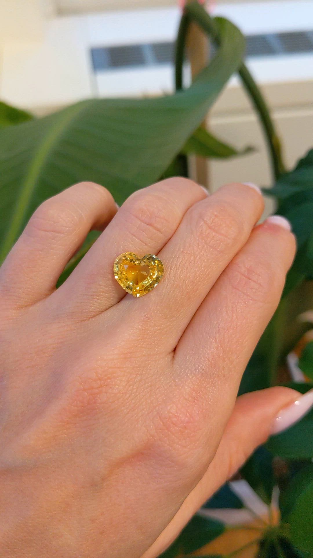5.04 Ct. Yellow Sapphire from Ceylon (Sri Lanka) Size Video