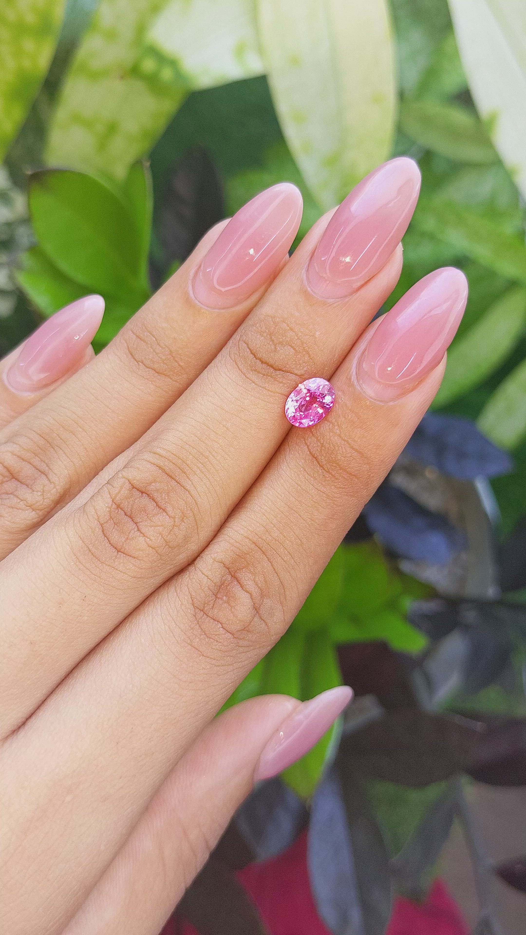 1.54 Ct. Pink Sapphire from Africa Size Video