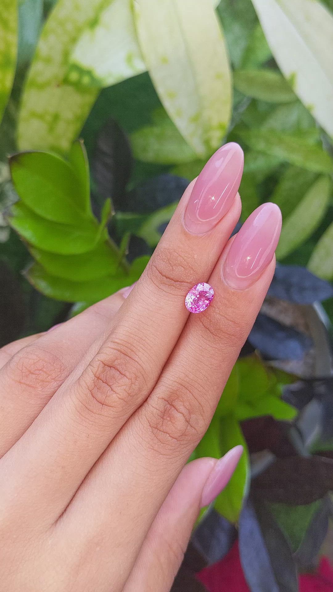 1.54 Ct. Pink Sapphire from Africa Size Video