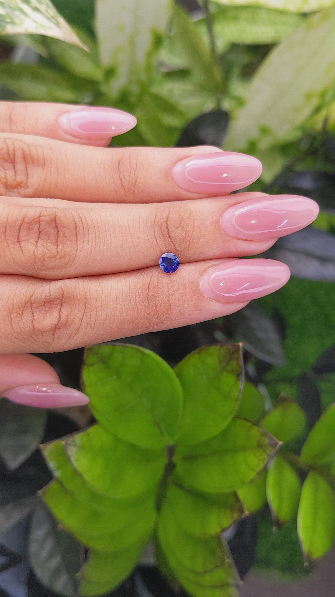 0.52 Ct. Blue Sapphire from Ceylon (Sri Lanka) Size Video