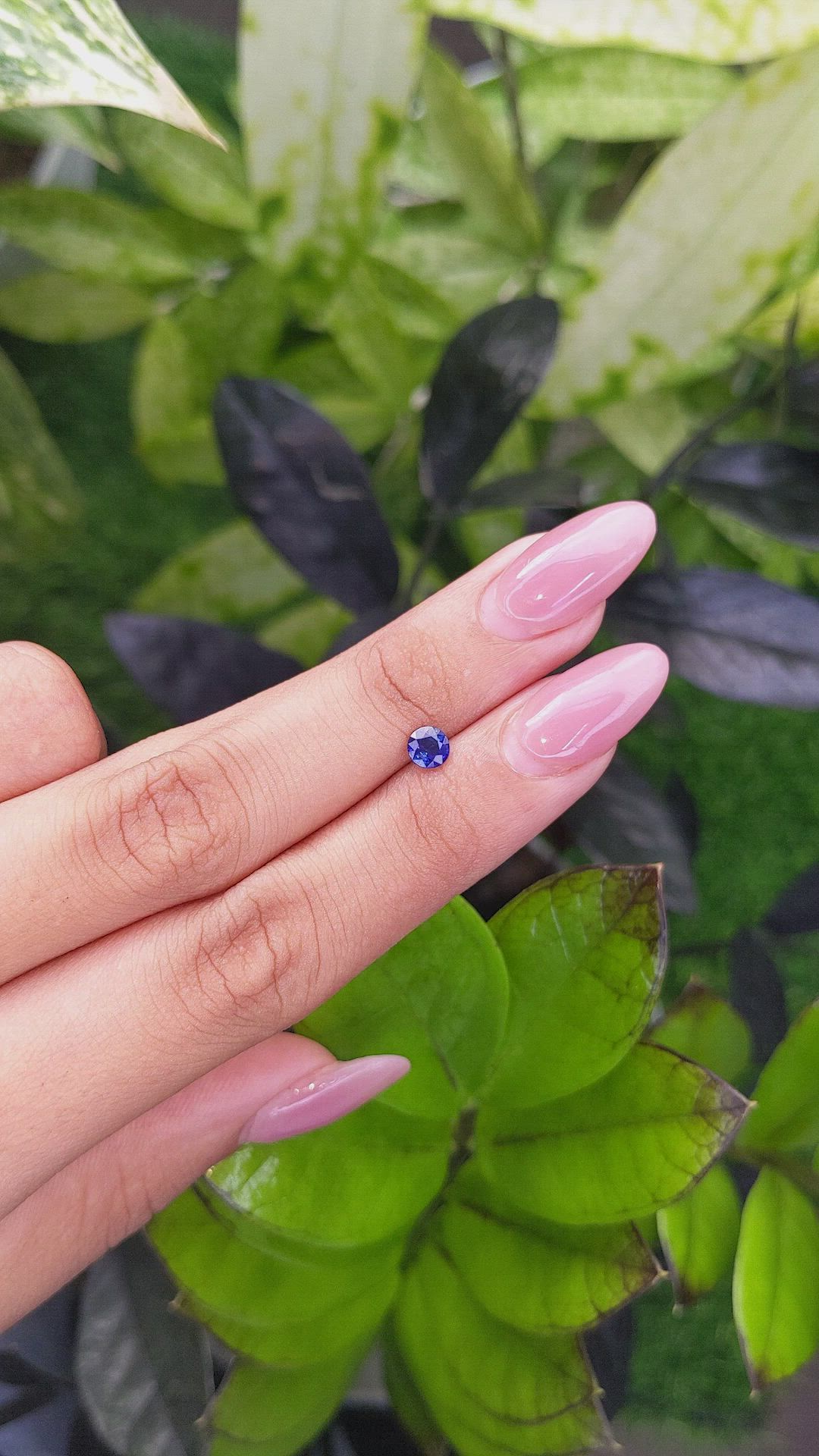 0.52 Ct. Blue Sapphire from Ceylon (Sri Lanka) Size Video