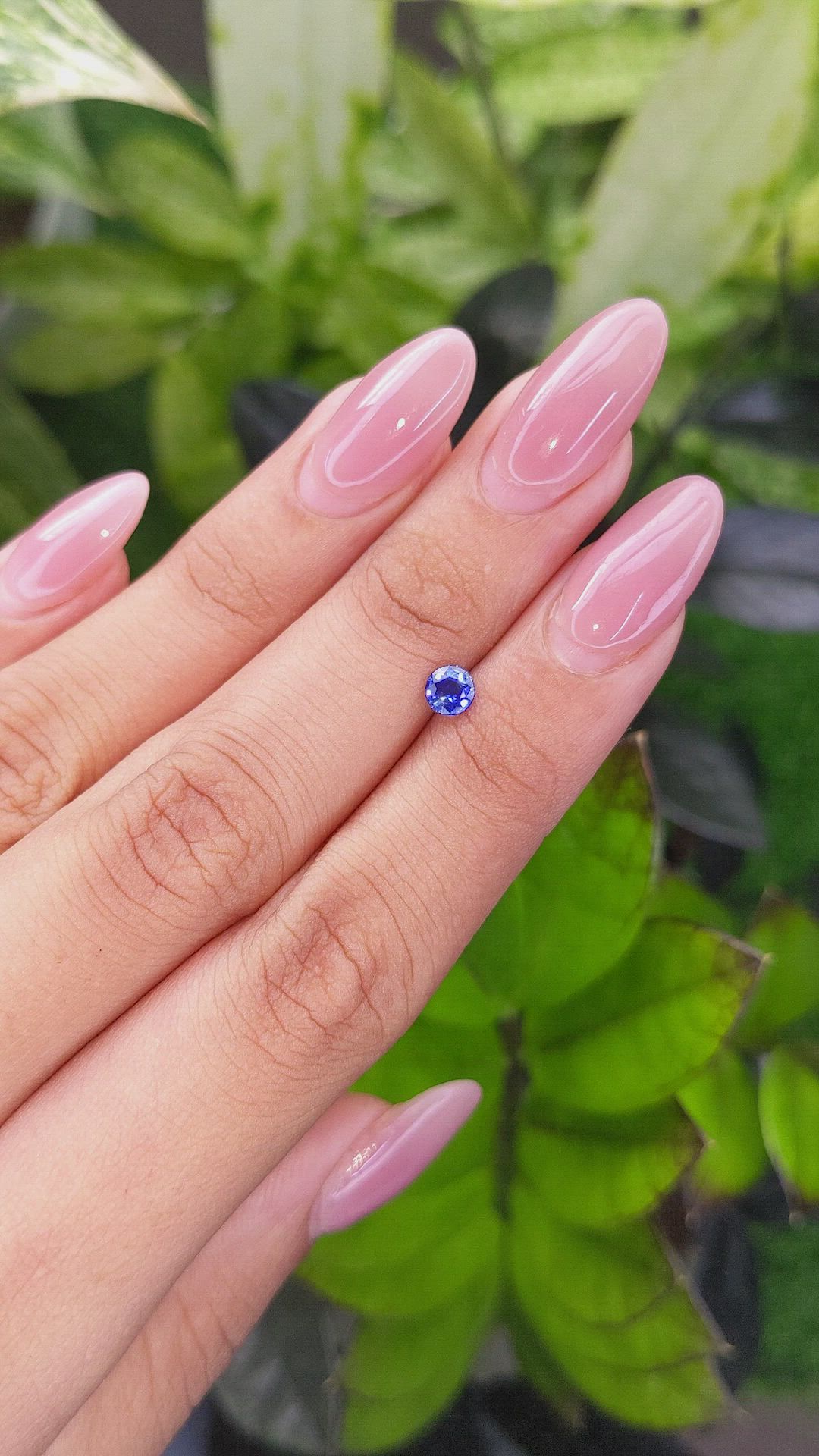 0.45 Ct. Blue Sapphire from Ceylon (Sri Lanka) Size Video