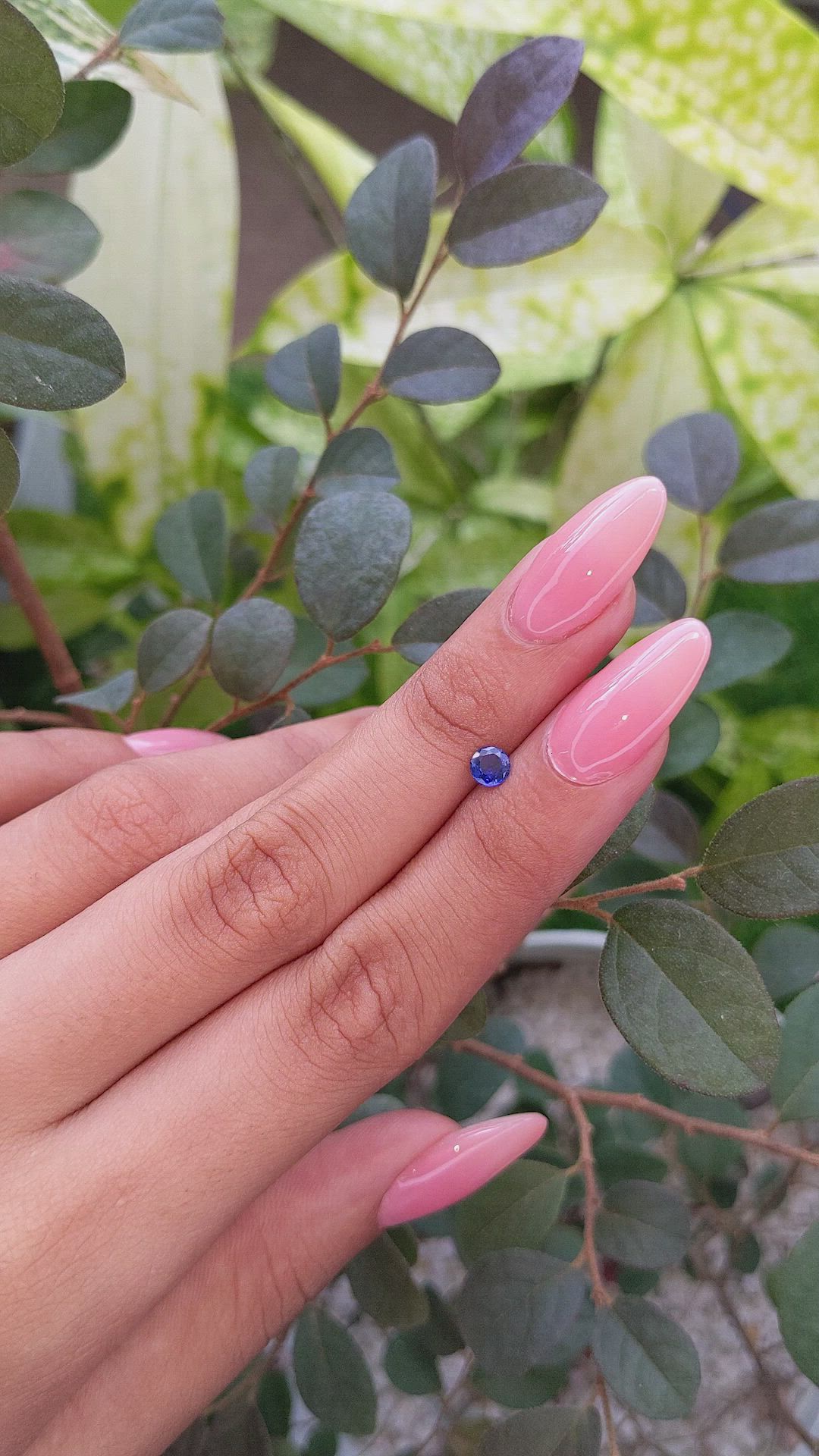 0.45 Ct. Blue Sapphire from Ceylon (Sri Lanka) Size Video