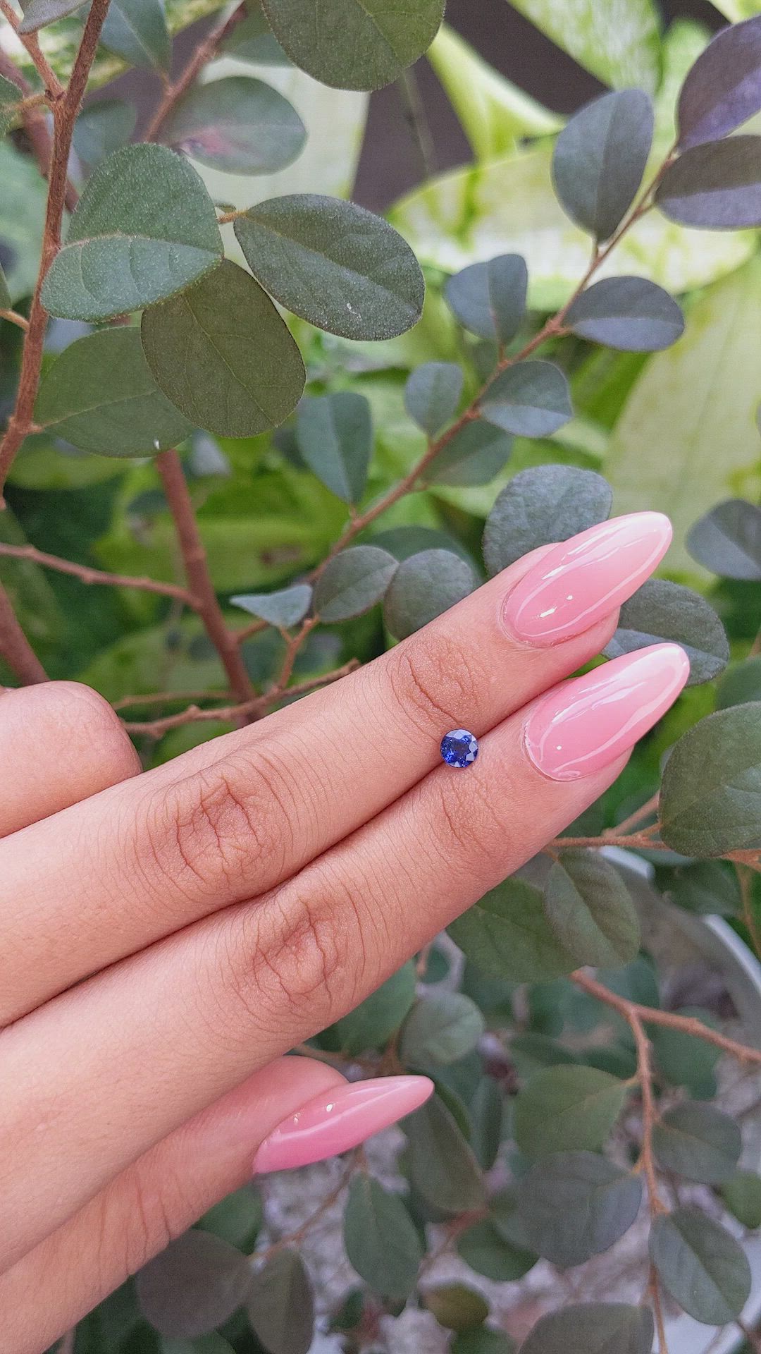 0.50 Ct. Blue Sapphire from Ceylon (Sri Lanka) Size Video