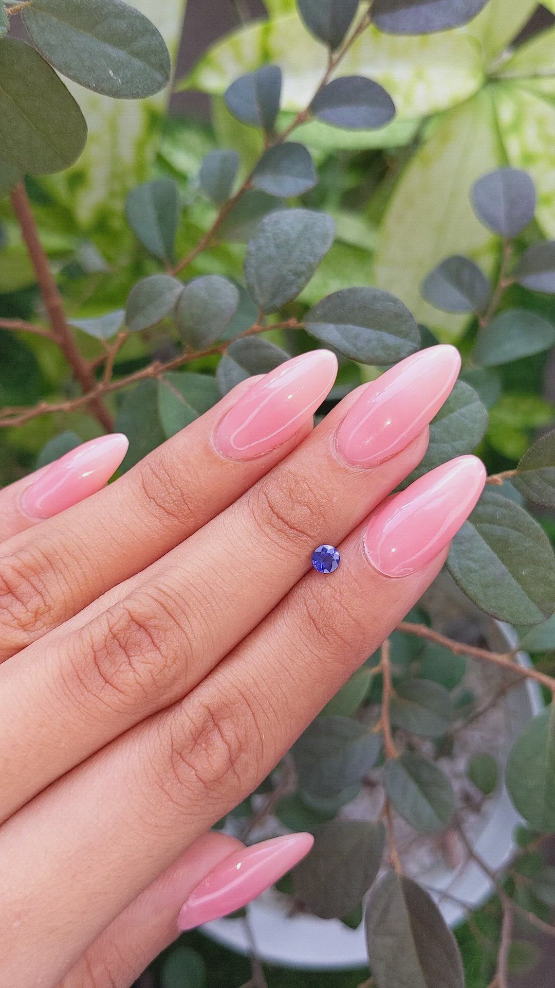 0.44 Ct. Sapphire from Ceylon (Sri Lanka) Size Video