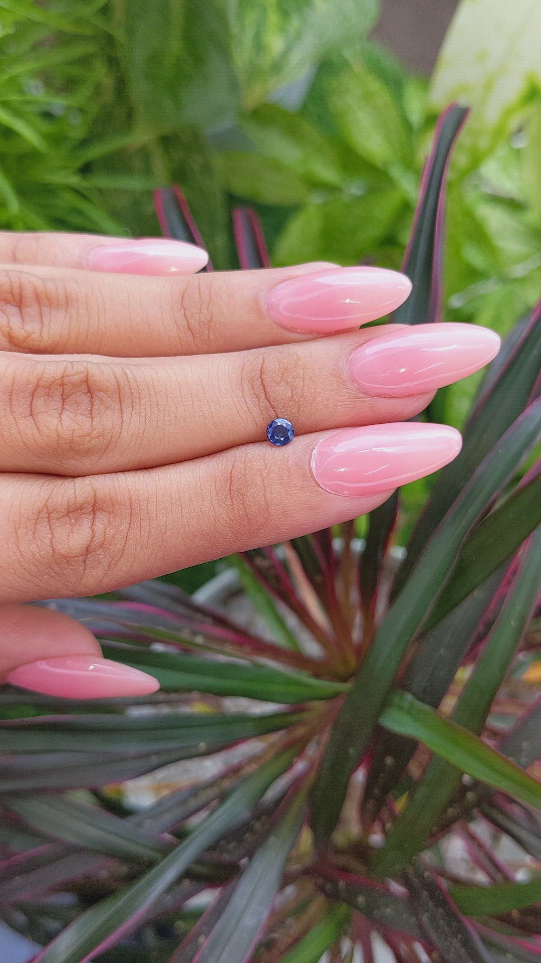 0.36 Ct. Sapphire from Ceylon (Sri Lanka) Size Video