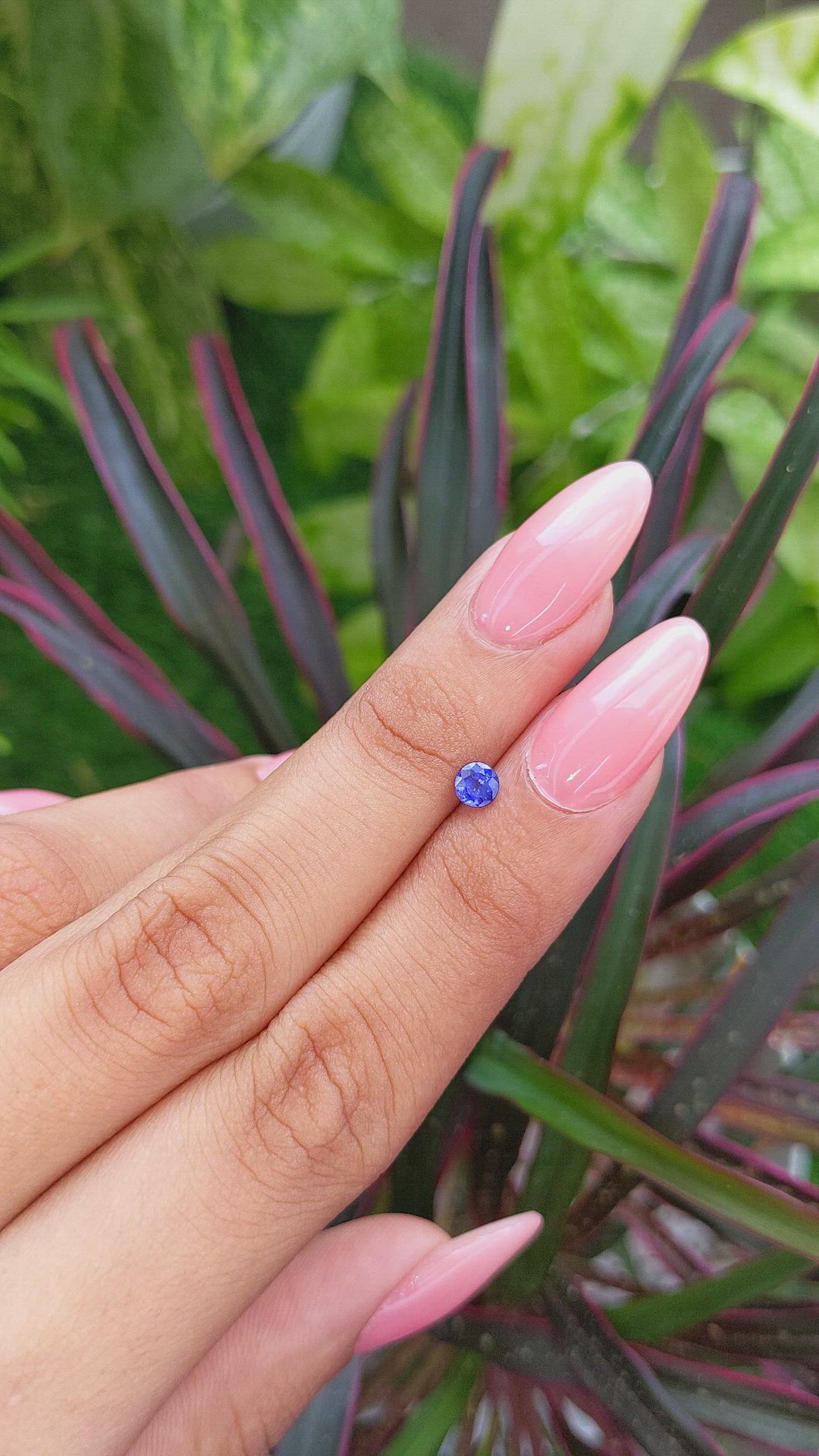 0.44 Ct. Blue Sapphire from Ceylon (Sri Lanka) Size Video