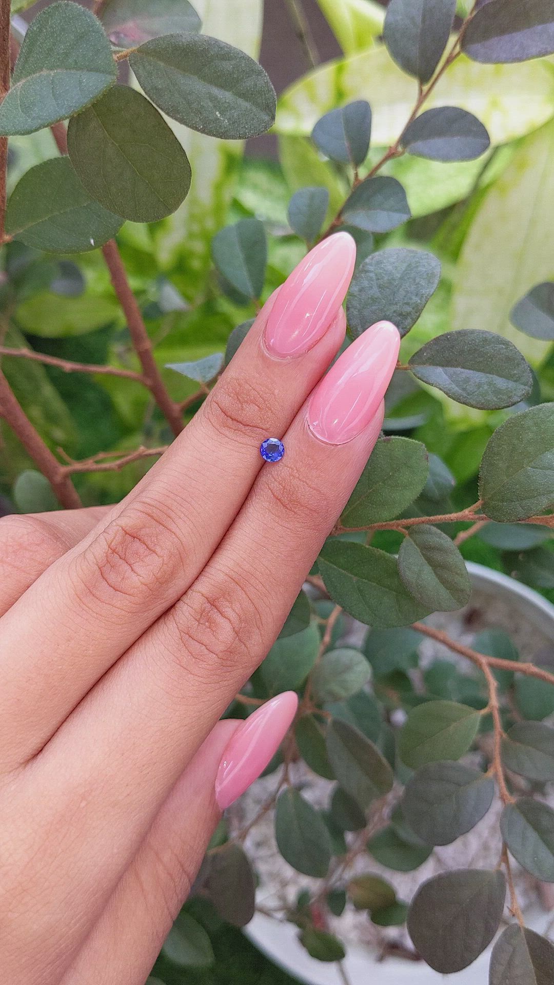 0.28 Ct. Blue Sapphire from Ceylon (Sri Lanka) Size Video