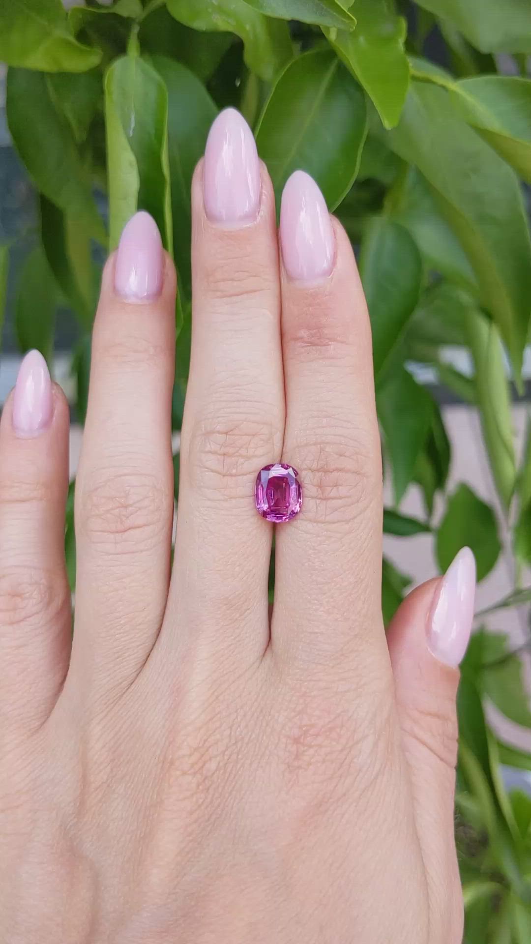 2.71 Ct. Purplish Pink Sapphire from Vietnam Size Video