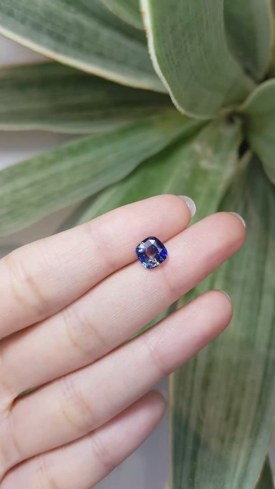 2.15 Ct. Bi Color Sapphire from Ceylon (Sri Lanka) Size Video