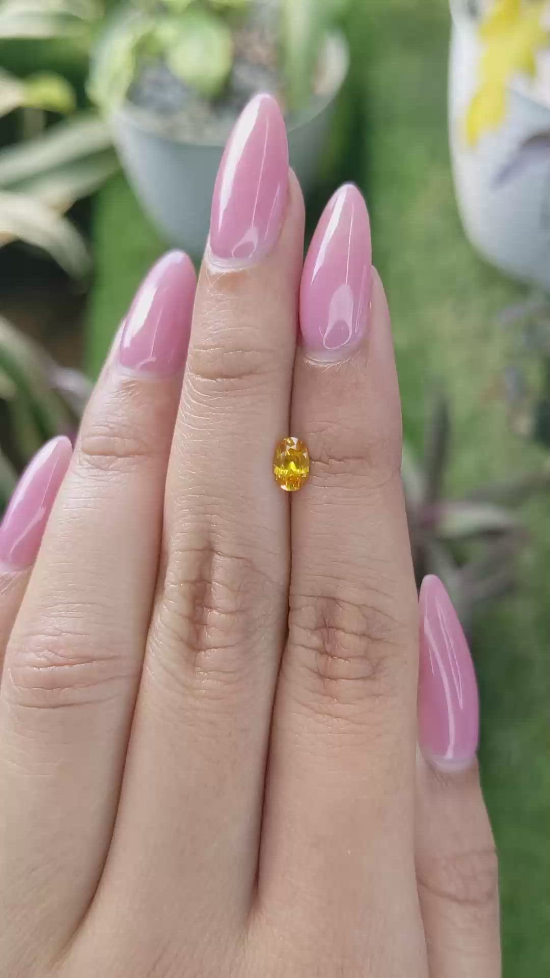 0.50 Ct. Yellowish Orange Sapphire from Ceylon (Sri Lanka) Size Video