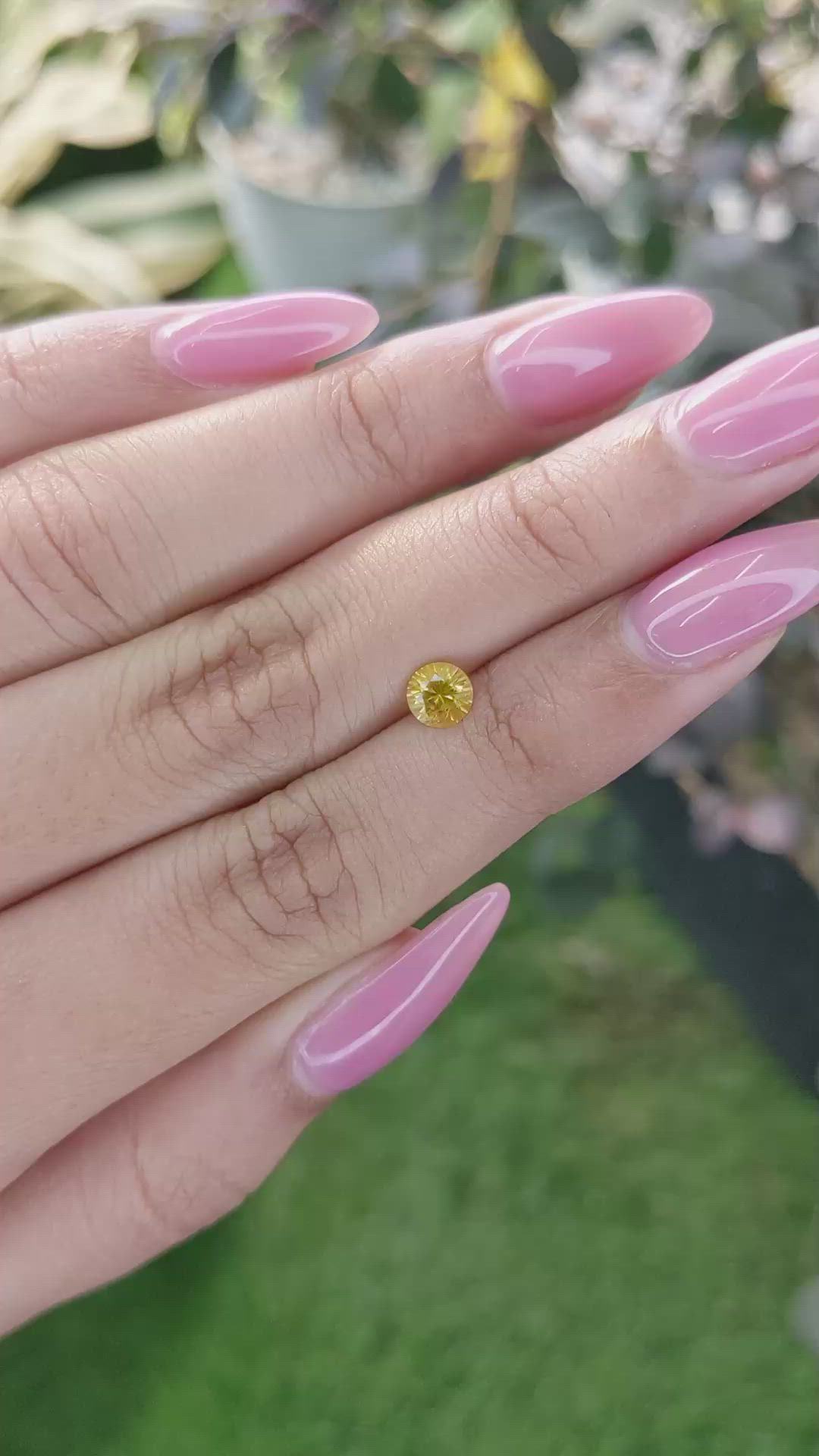 0.61 Ct. Yellow Sapphire from Ceylon (Sri Lanka) Size Video