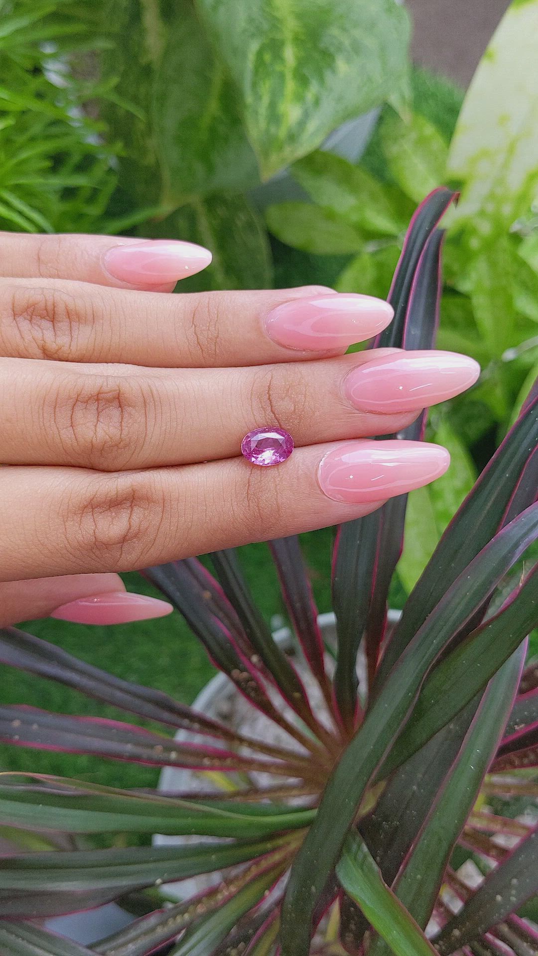 2.00 Ct. Purplish Pink Sapphire from Madagascar Size Video