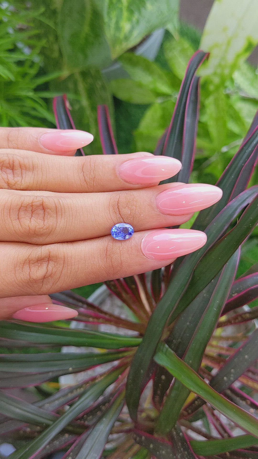 1.48 Ct. Blue Sapphire from Ceylon (Sri Lanka) Size Video