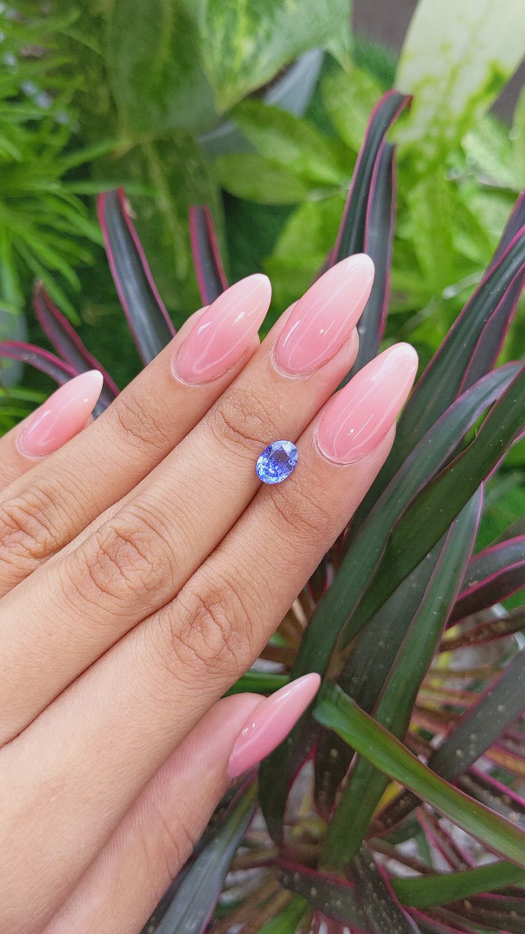 1.48 Ct. Blue Sapphire from Ceylon (Sri Lanka) Size Video