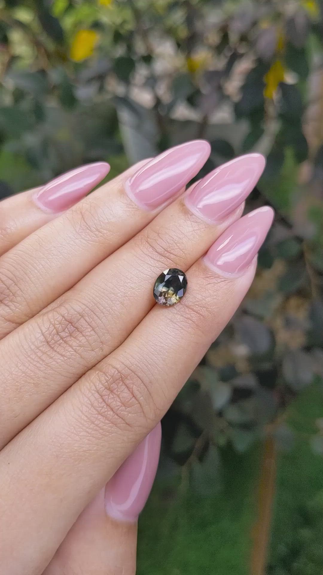 1.69 Ct. Bi Color Sapphire from Ceylon (Sri Lanka) Size Video