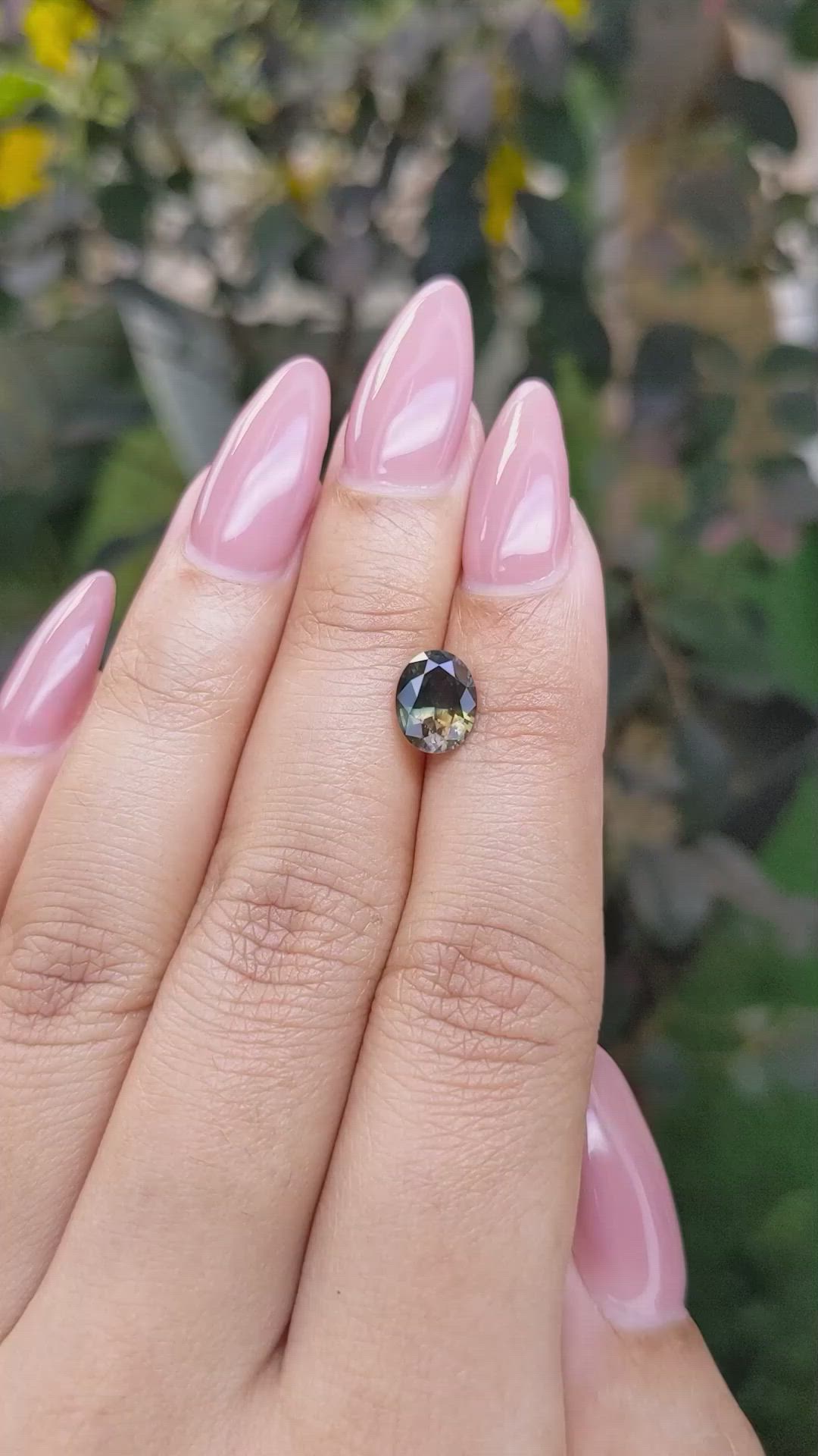 1.69 Ct. Bi Color Sapphire from Ceylon (Sri Lanka) Size Video