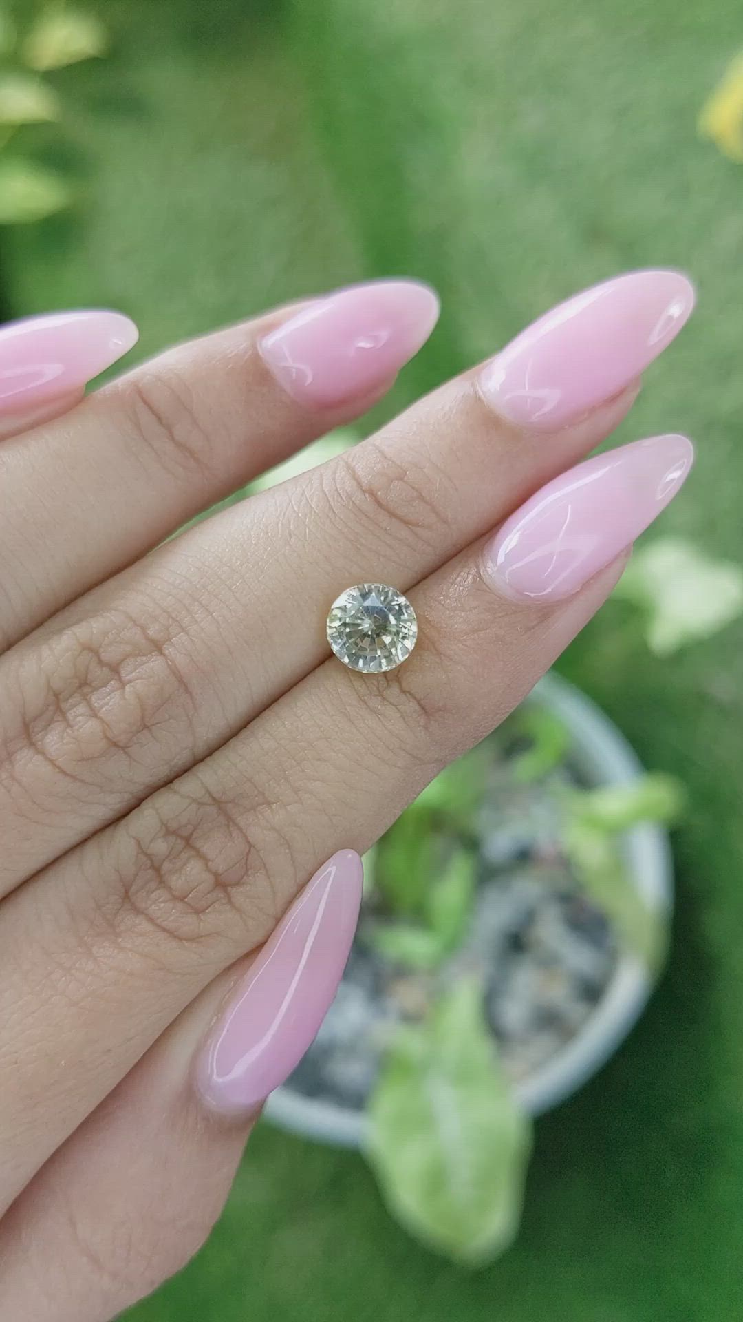 1.96 Ct. Bi Color Sapphire from Ceylon (Sri Lanka) Size Video