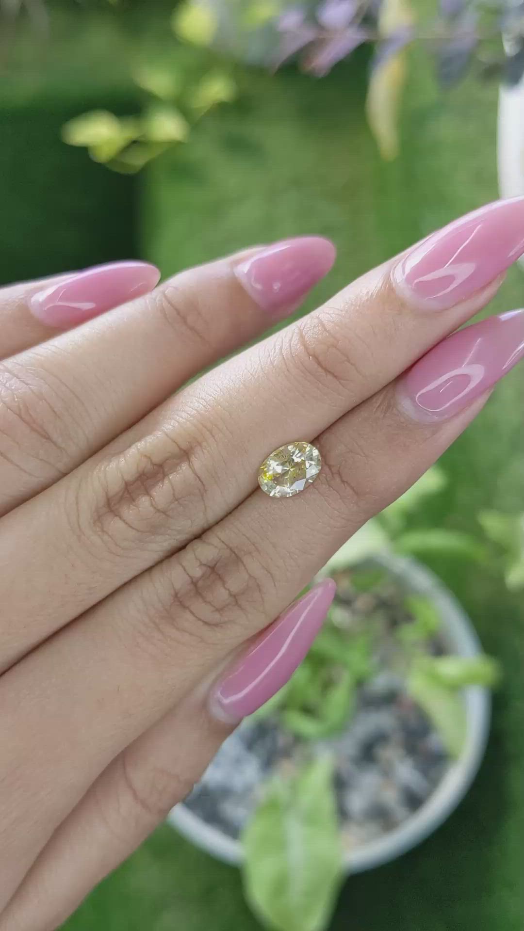 1.46 Ct. Yellow Sapphire from Ceylon (Sri Lanka) Size Video