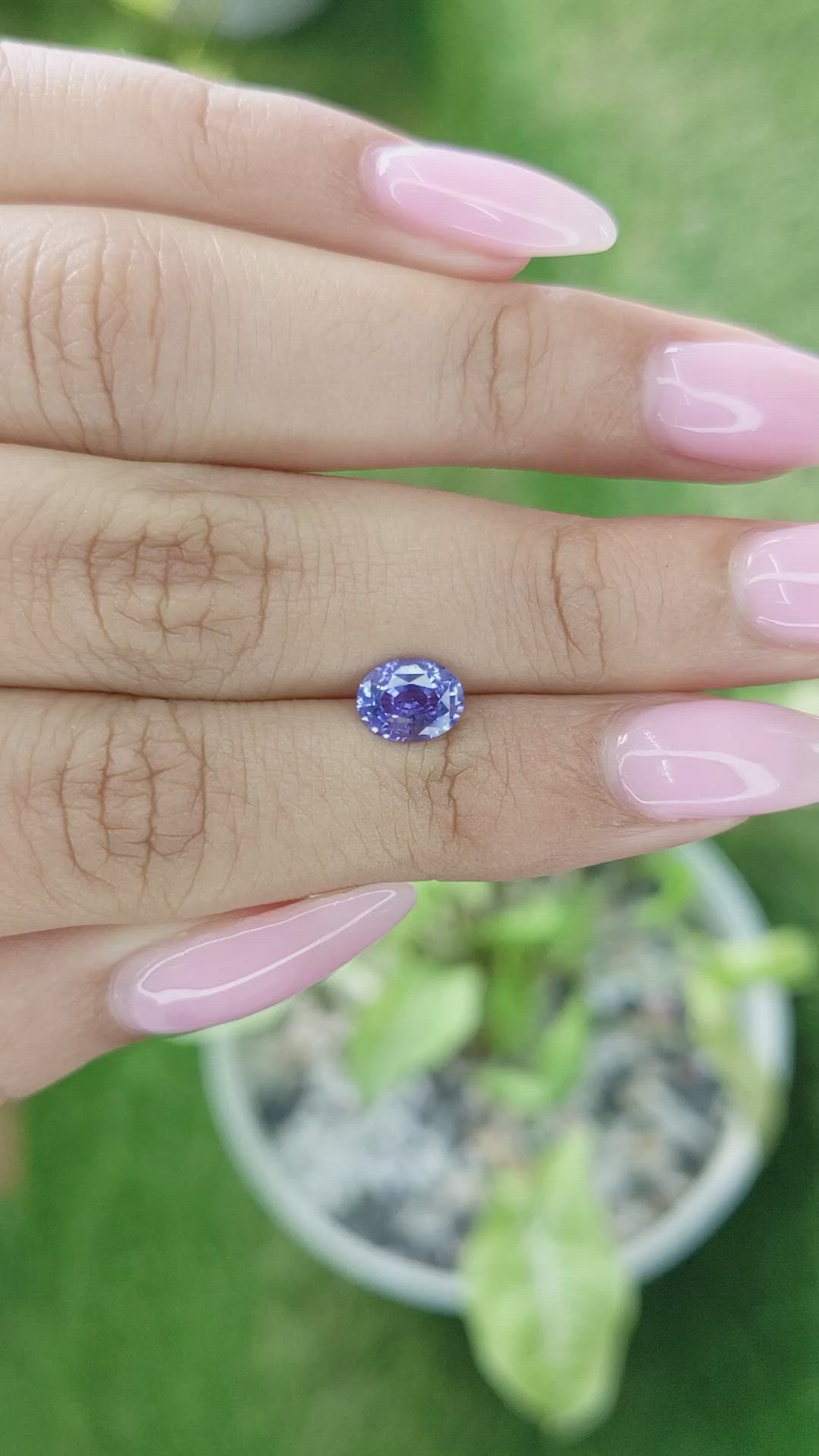 1.13 Ct. Violet Sapphire from Ceylon (Sri Lanka) Size Video