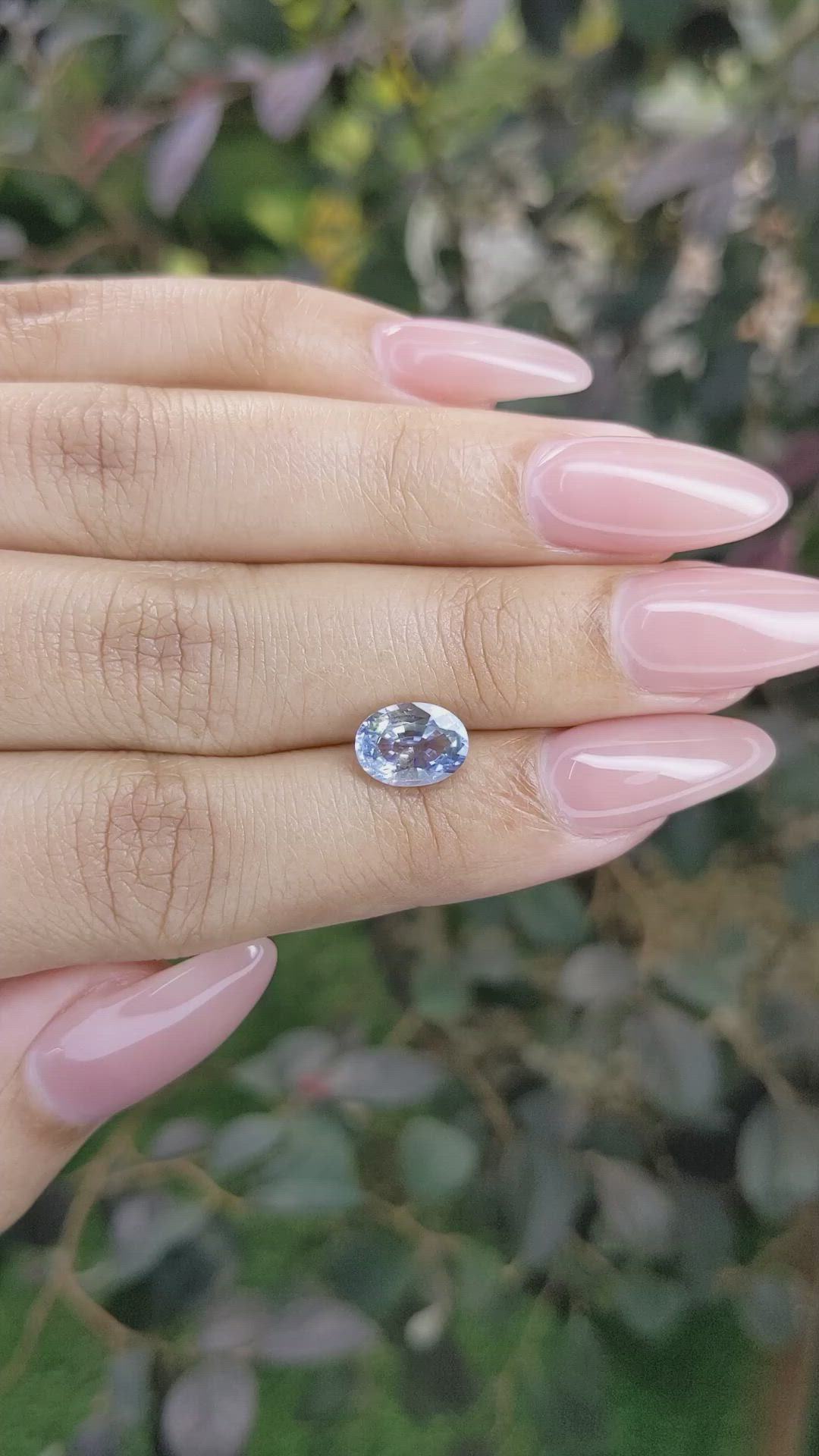 1.81 Ct. Bi Color Sapphire from Ceylon (Sri Lanka) Size Video