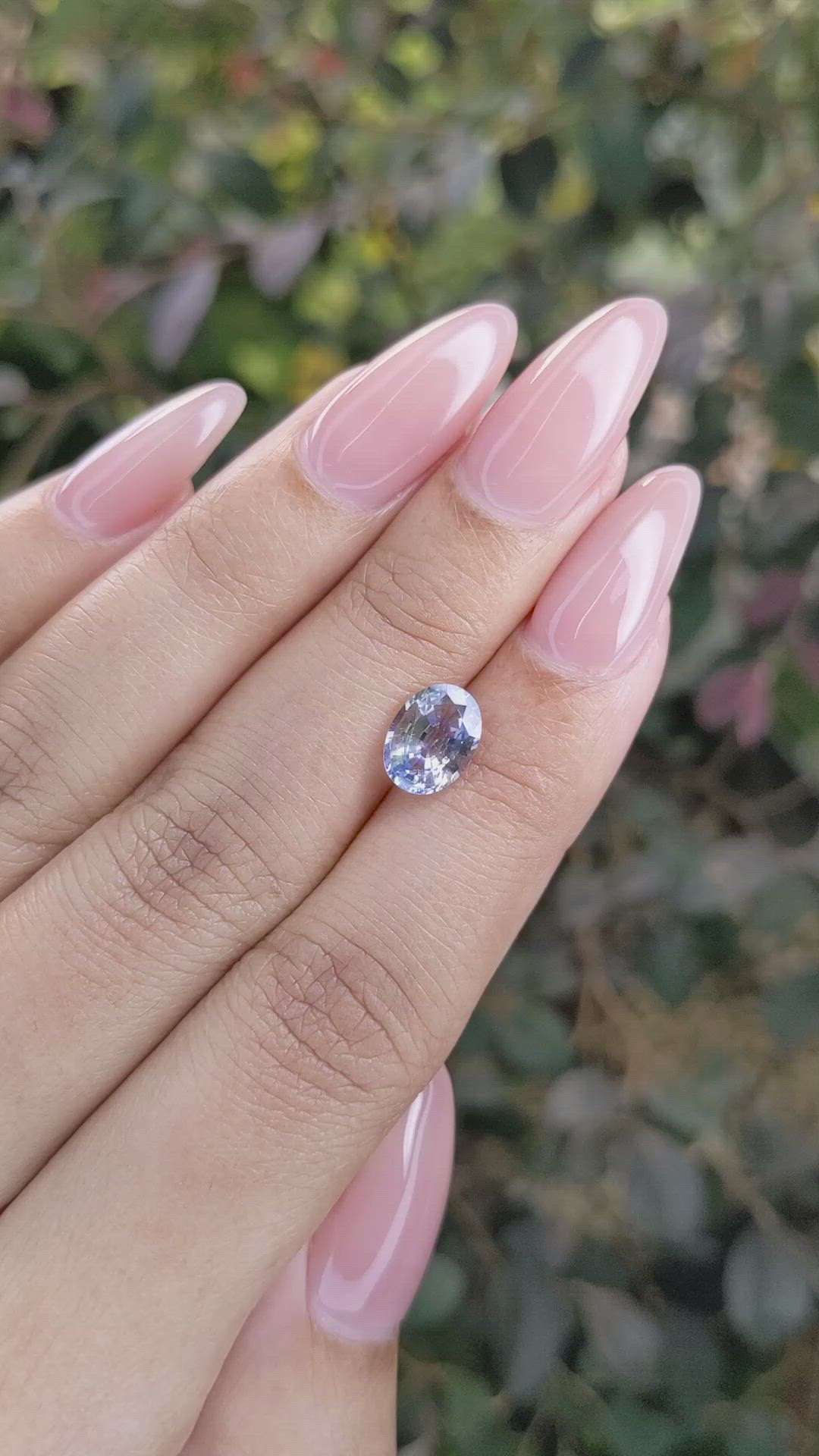 1.81 Ct. Bi Color Sapphire from Ceylon (Sri Lanka) Size Video