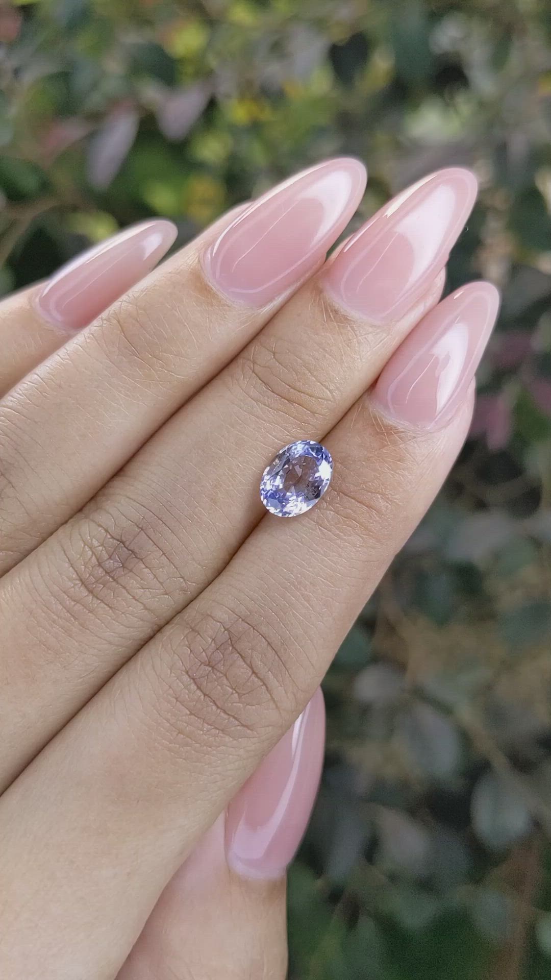 1.79 Ct. Bi Color Sapphire from Ceylon (Sri Lanka) Size Video