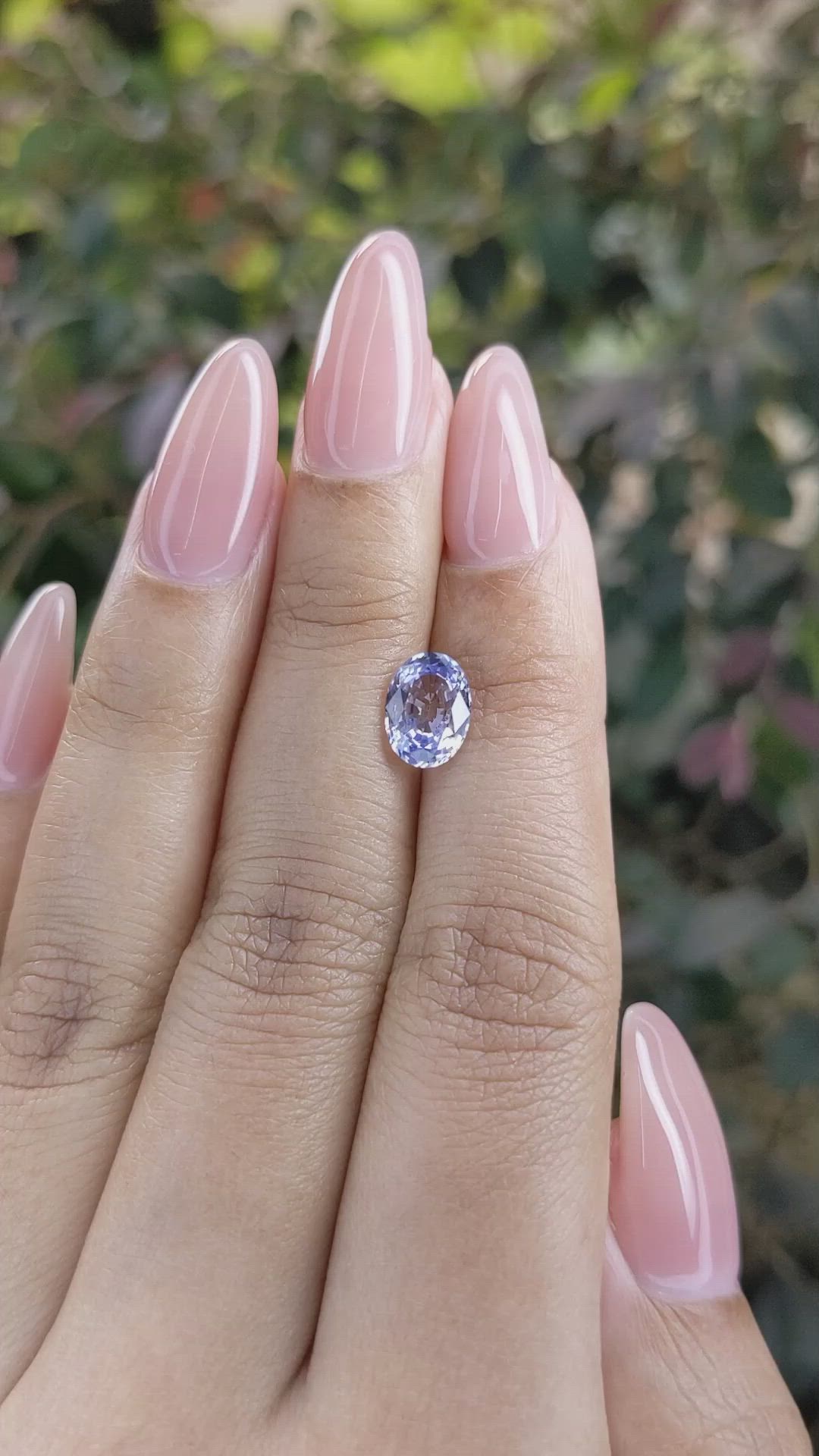 1.79 Ct. Bi Color Sapphire from Ceylon (Sri Lanka) Size Video
