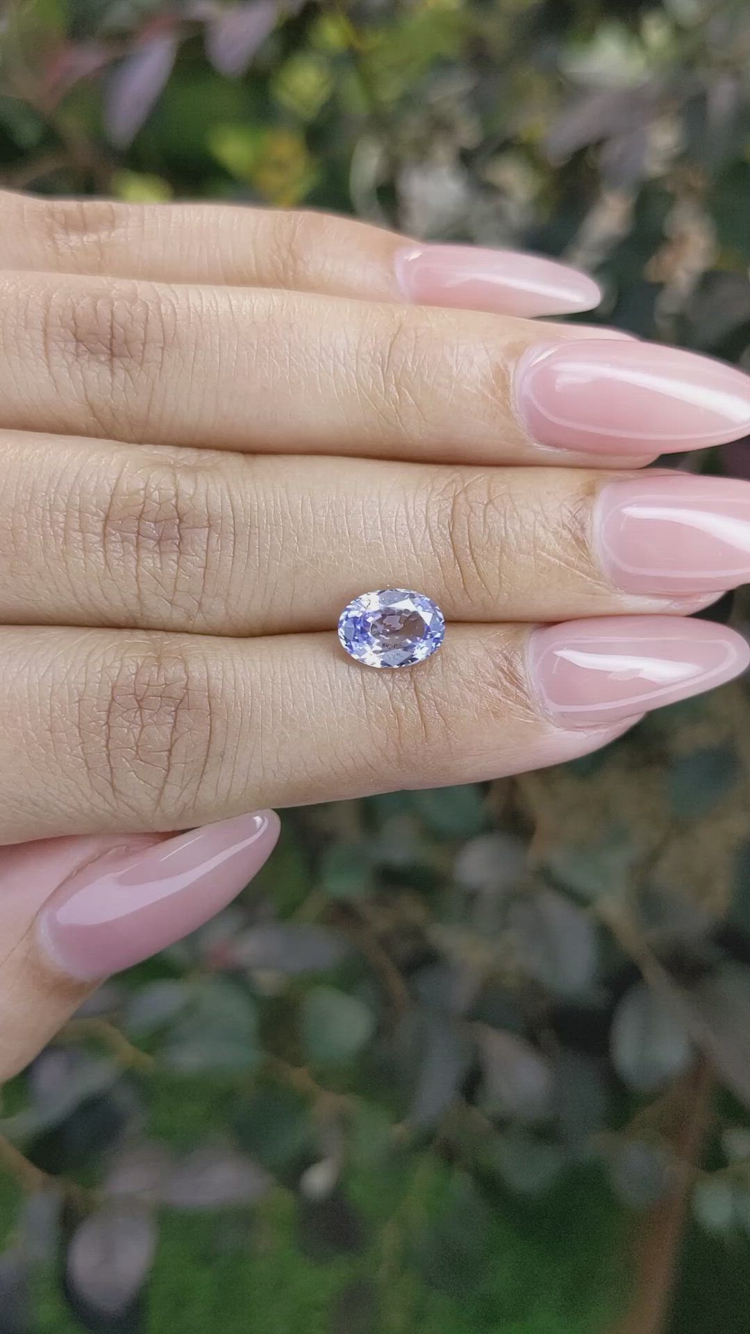 1.79 Ct. Bi Color Sapphire from Ceylon (Sri Lanka) Size Video