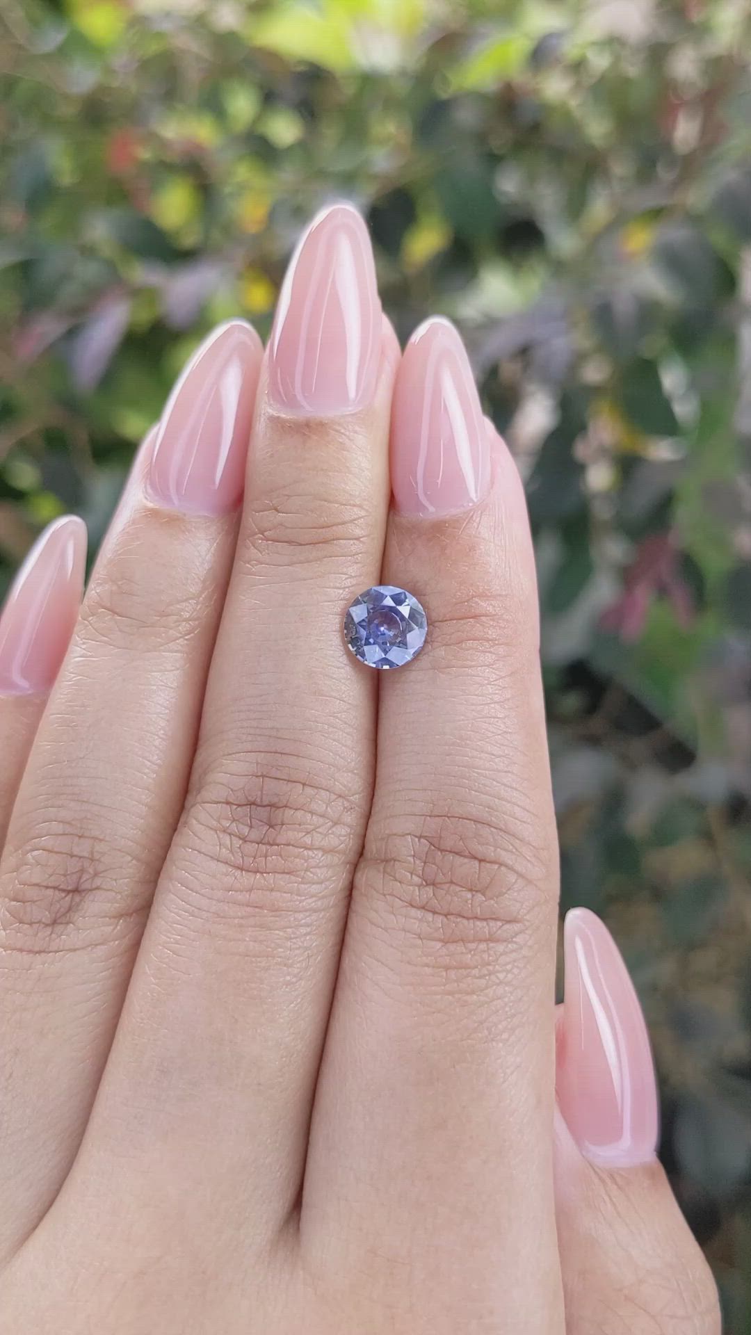 1.52 Ct. Bi Color Sapphire from Ceylon (Sri Lanka) Size Video