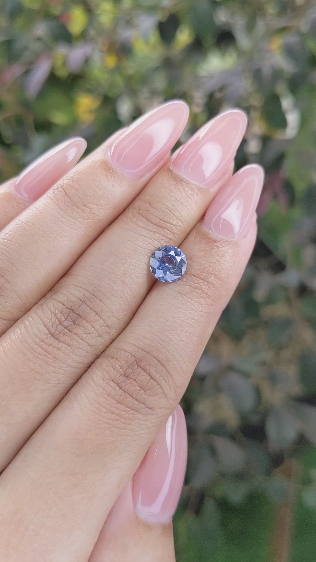 1.52 Ct. Bi Color Sapphire from Ceylon (Sri Lanka) Size Video