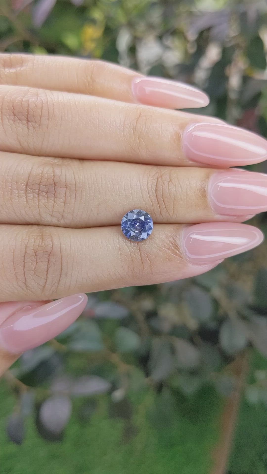 1.52 Ct. Bi Color Sapphire from Ceylon (Sri Lanka) Size Video