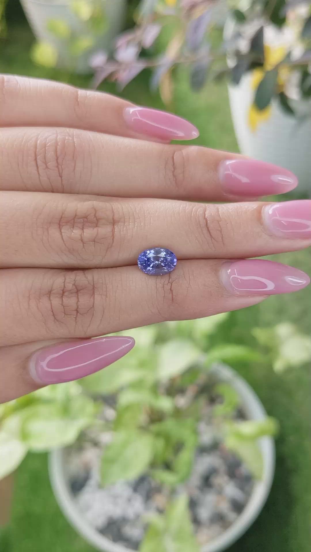 1.68 Ct. Blue Sapphire from Ceylon (Sri Lanka) Size Video