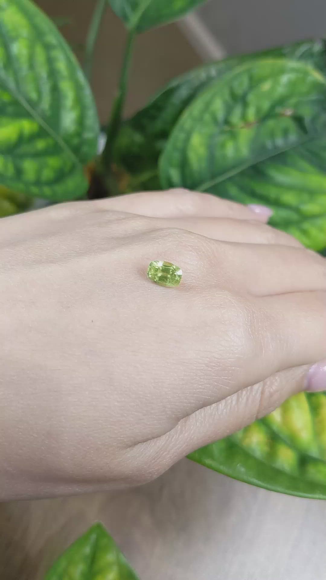 1.47 Ct. Yellowish Green Sapphire from Ceylon (Sri Lanka) Size Video