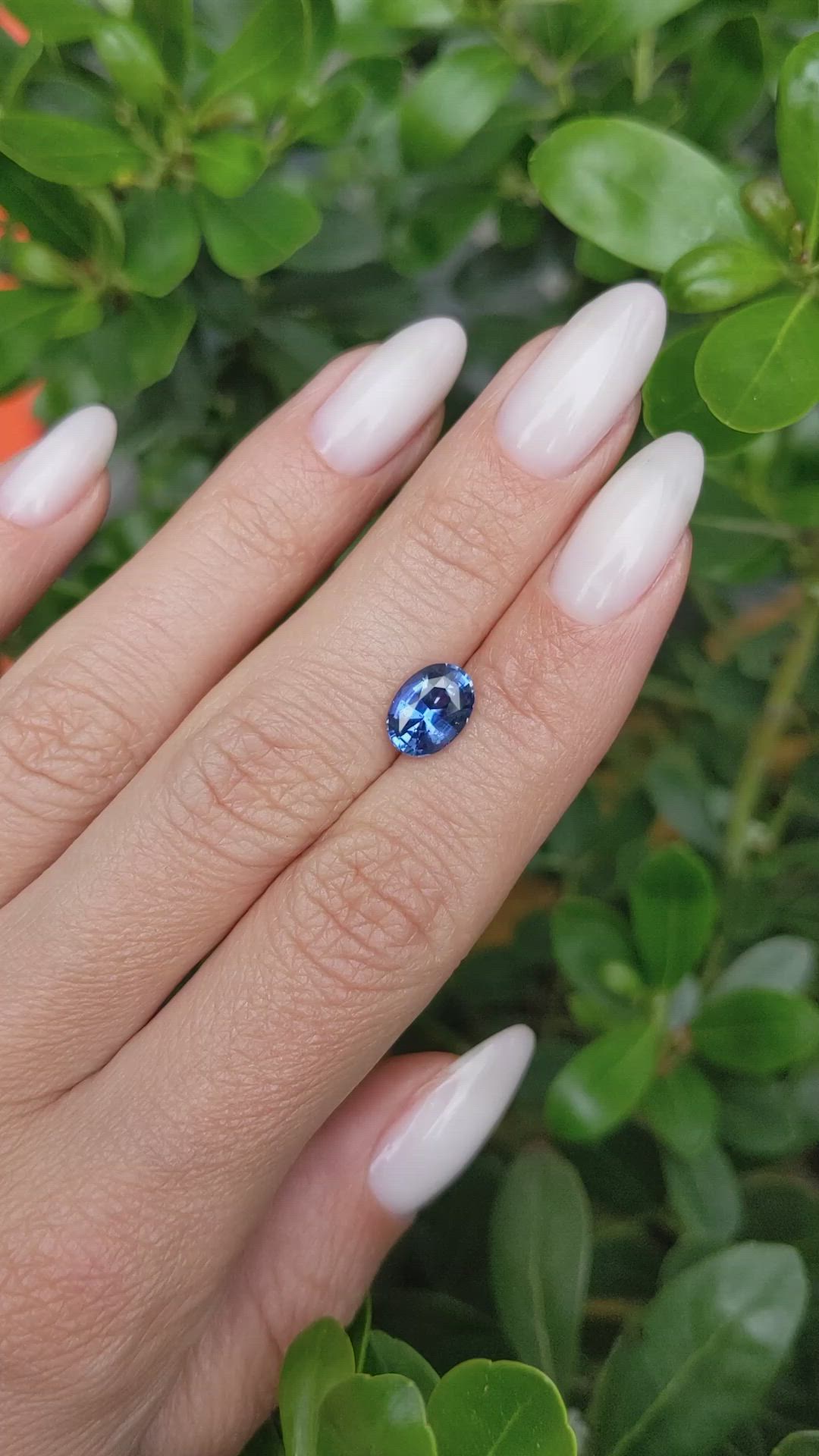 2.04 Ct. Blue Sapphire from Ceylon (Sri Lanka) Size Video