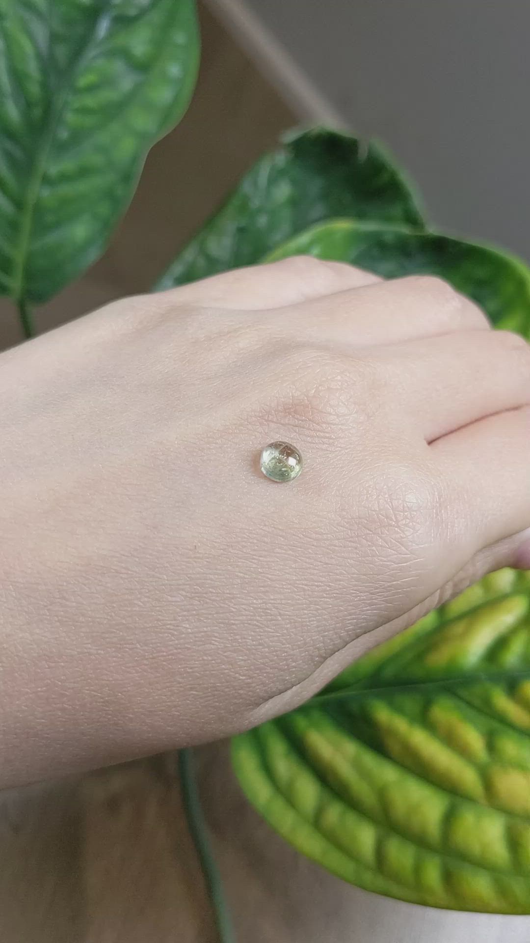 1.22 Ct. Bi Color Cabochon Sapphire from Montana Size Video