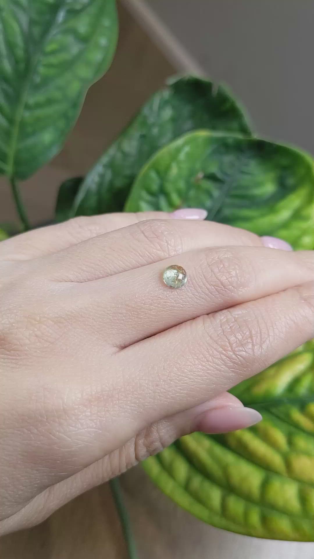 1.22 Ct. Bi Color Cabochon Sapphire from Montana Size Video