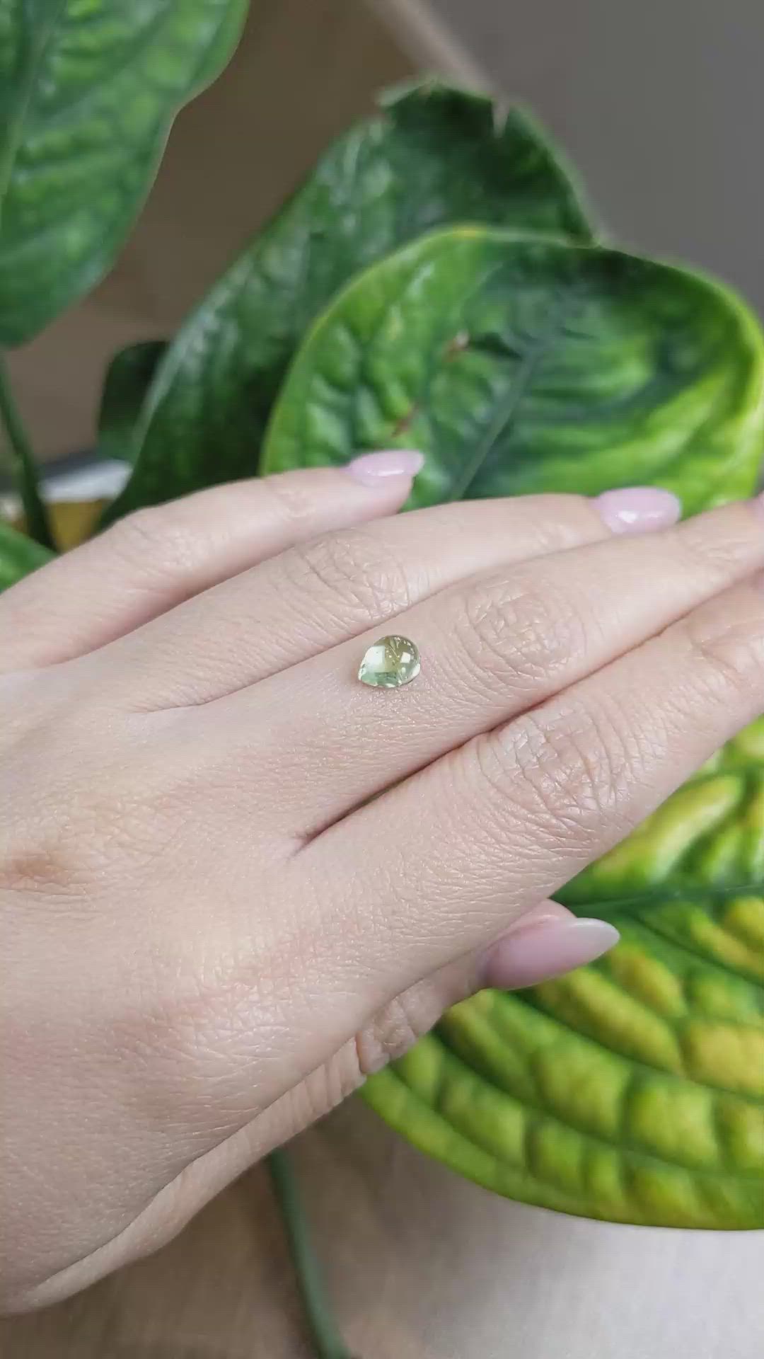 1.48 Ct. Green Cabochon Sapphire from Montana Size Video